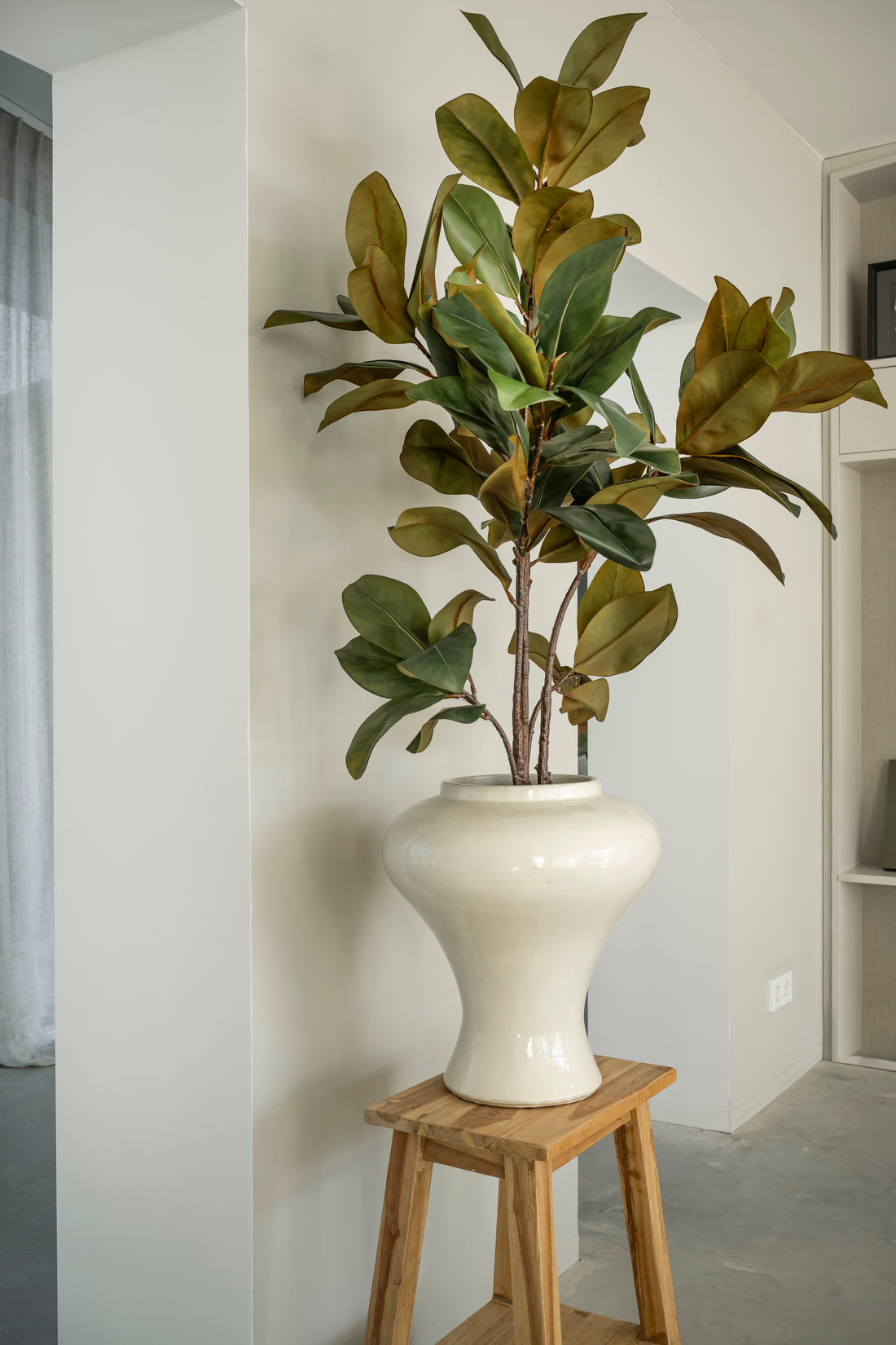 Magnolia 120
