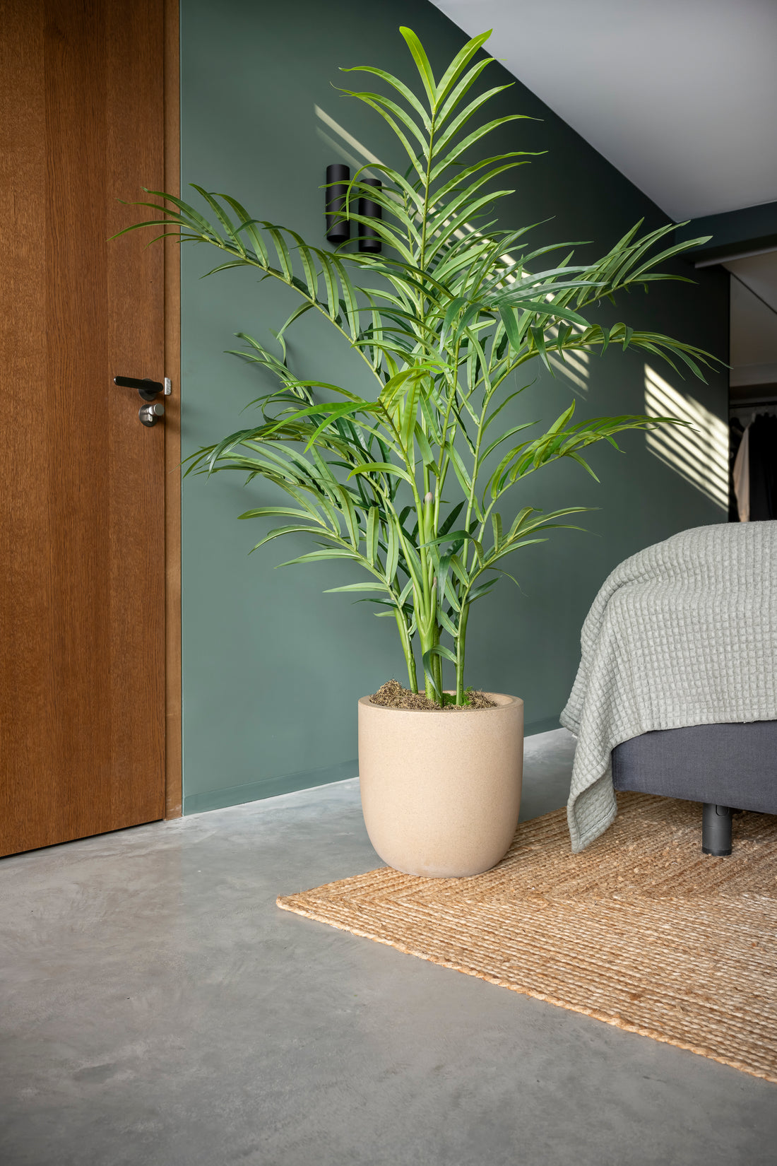 Palm 150