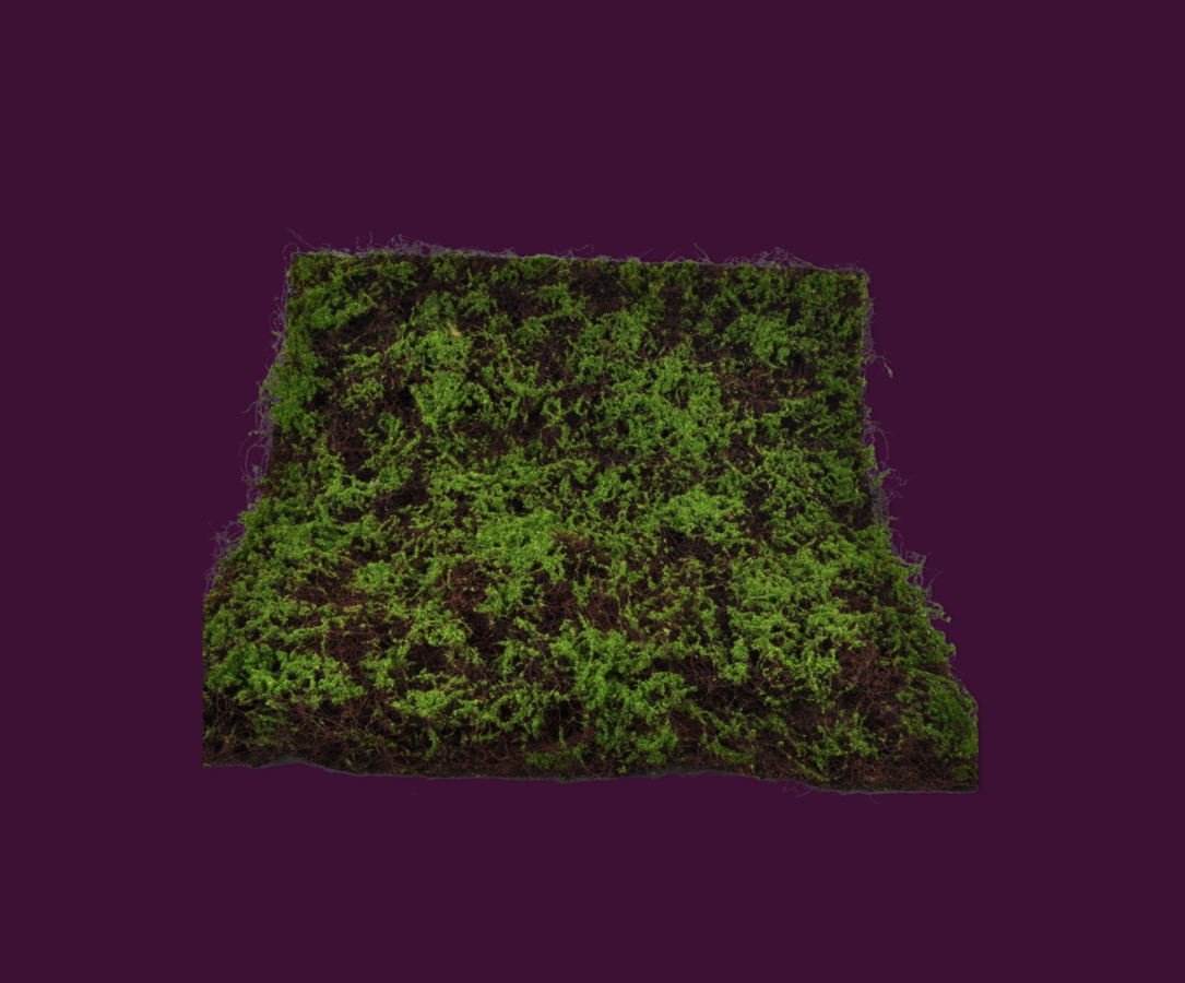 groenwand kantoor silk-ka mos nouq