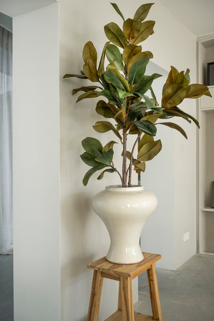 Magnolia 120