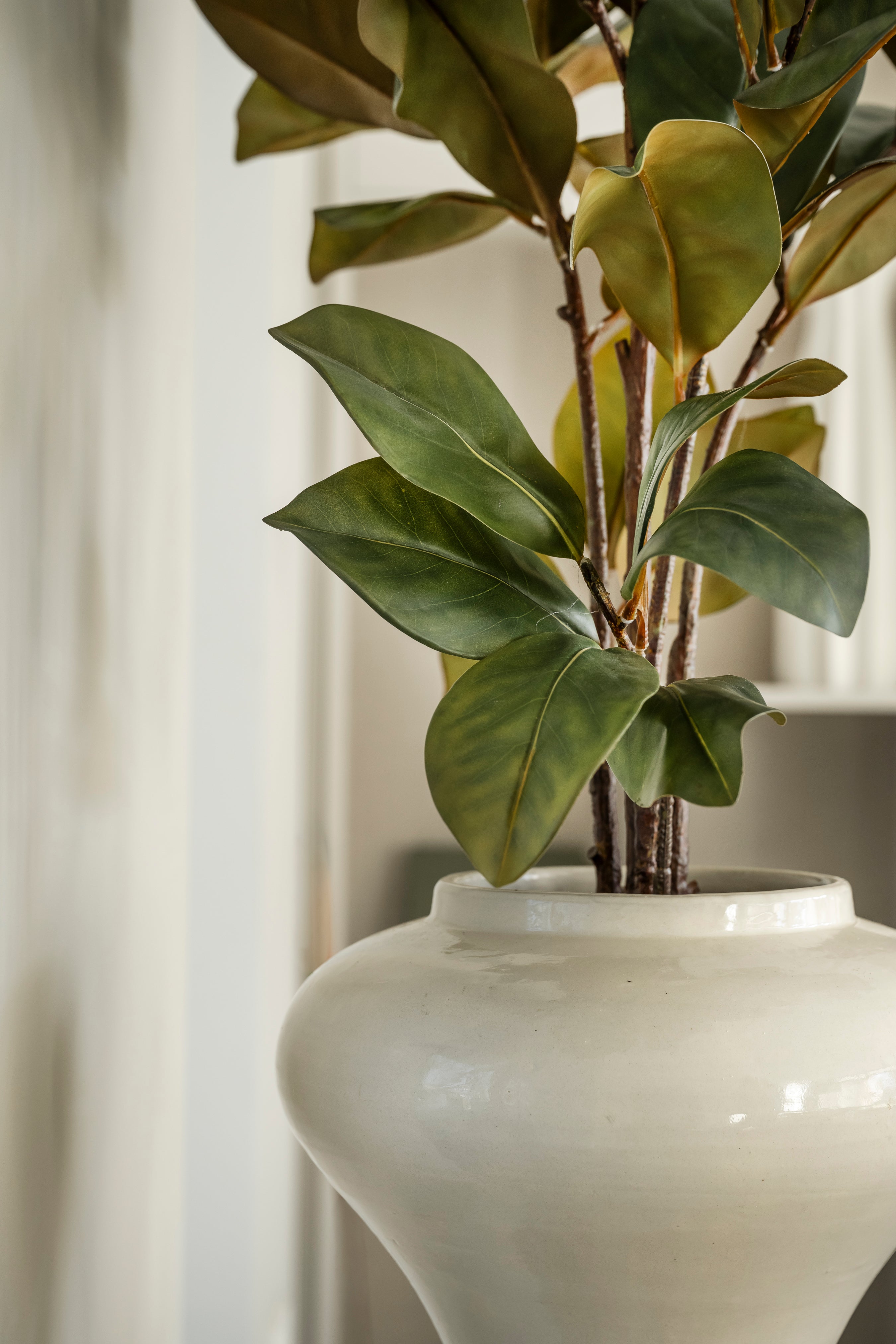 Magnolia 120