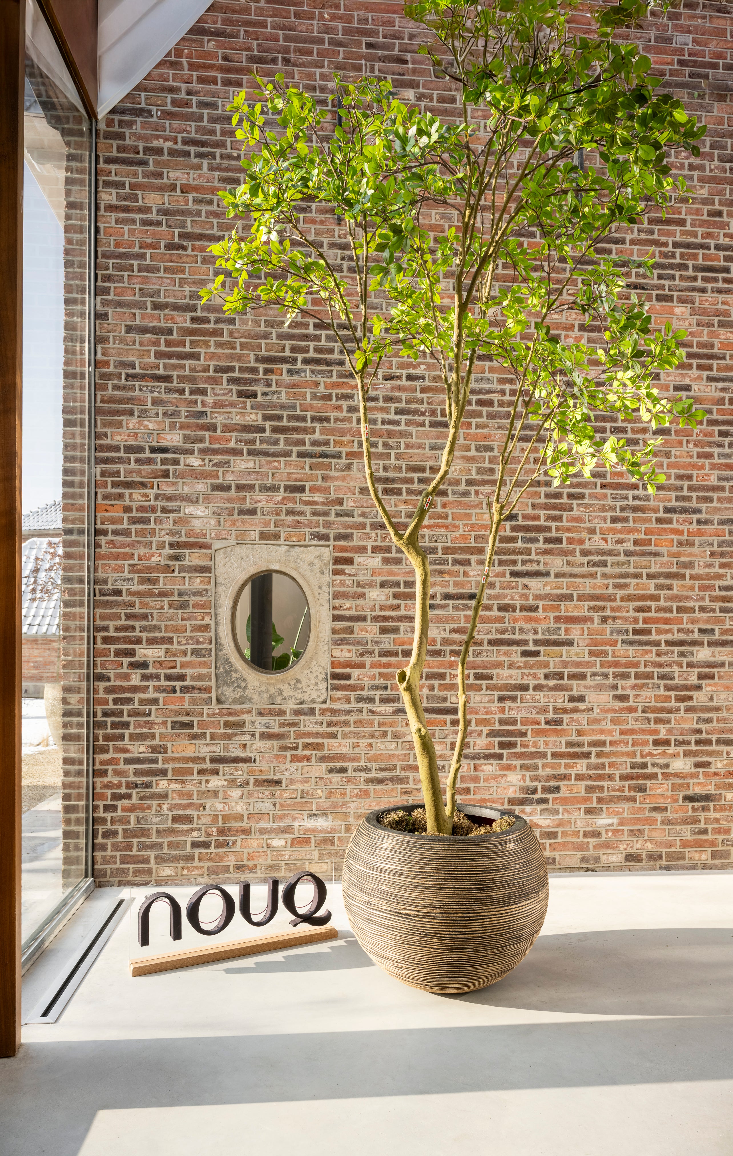 Kunstboom Gardenia 285 cm