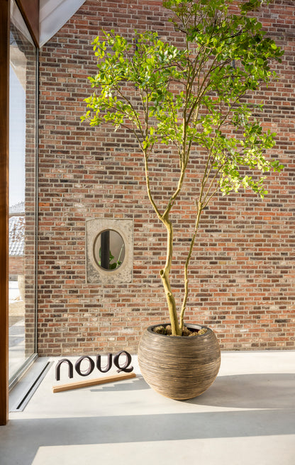 Kunstboom Gardenia 285 cm