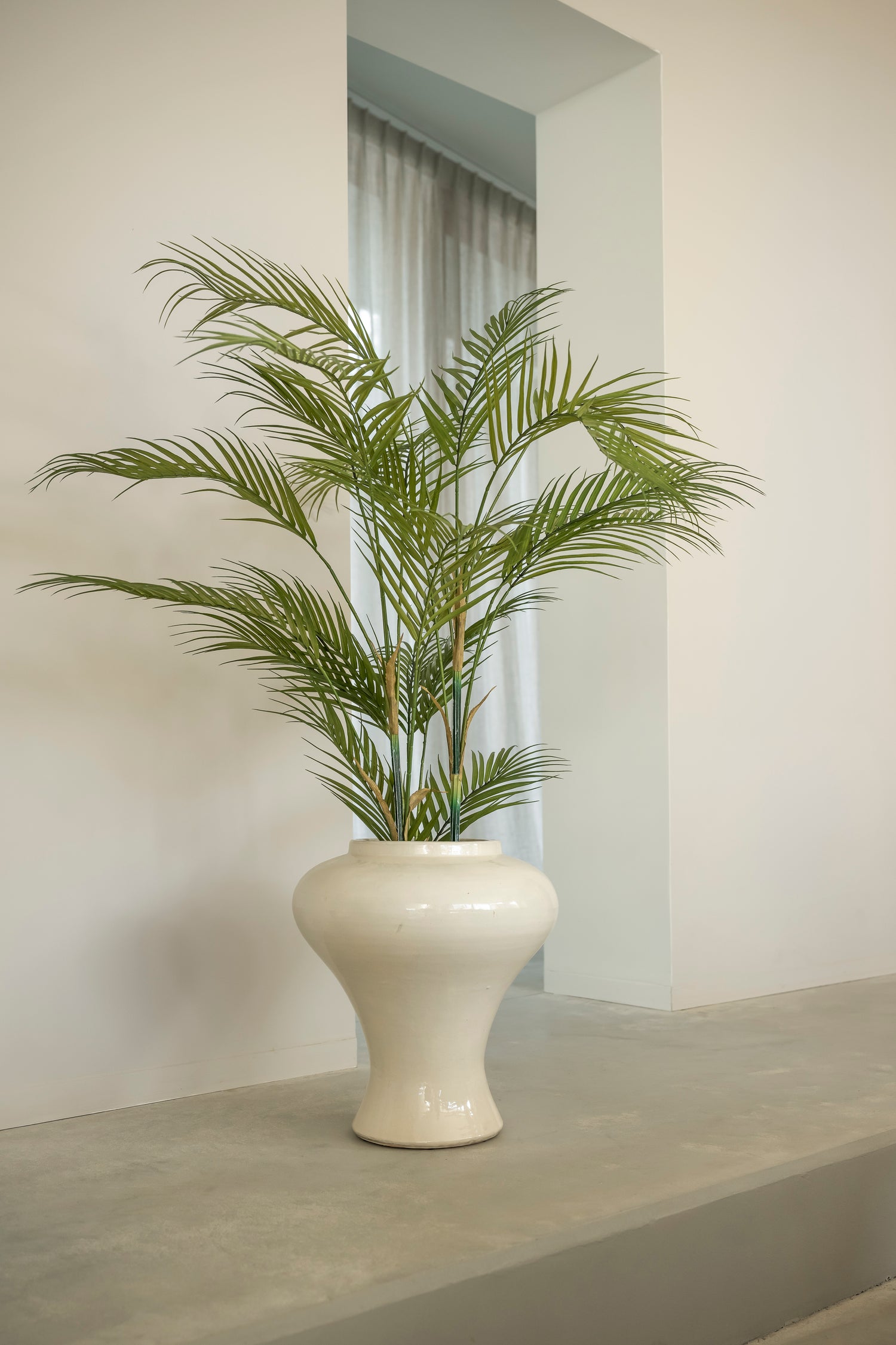 Arecapalm 120