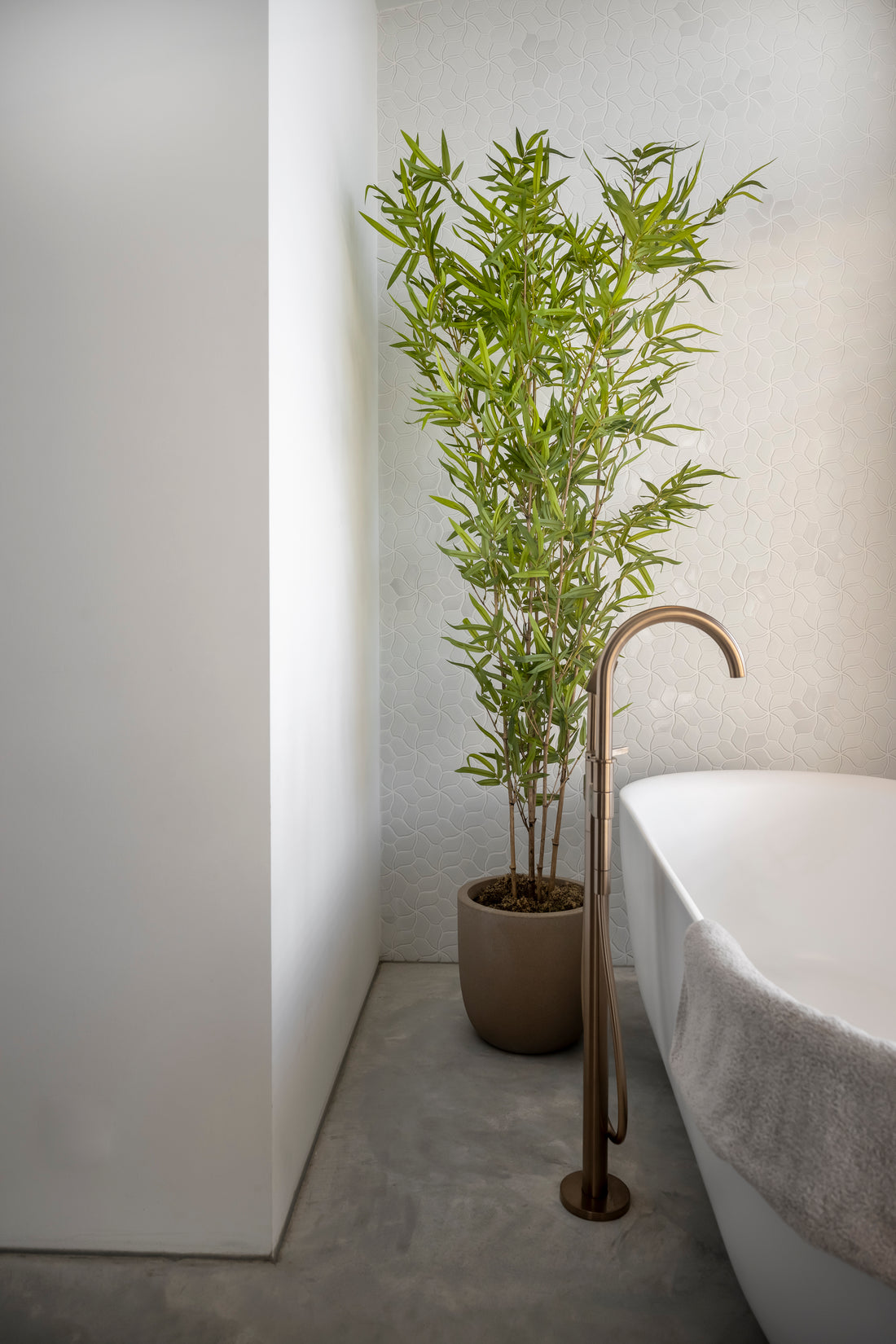 Bamboeplant met echte bamboestokken 200