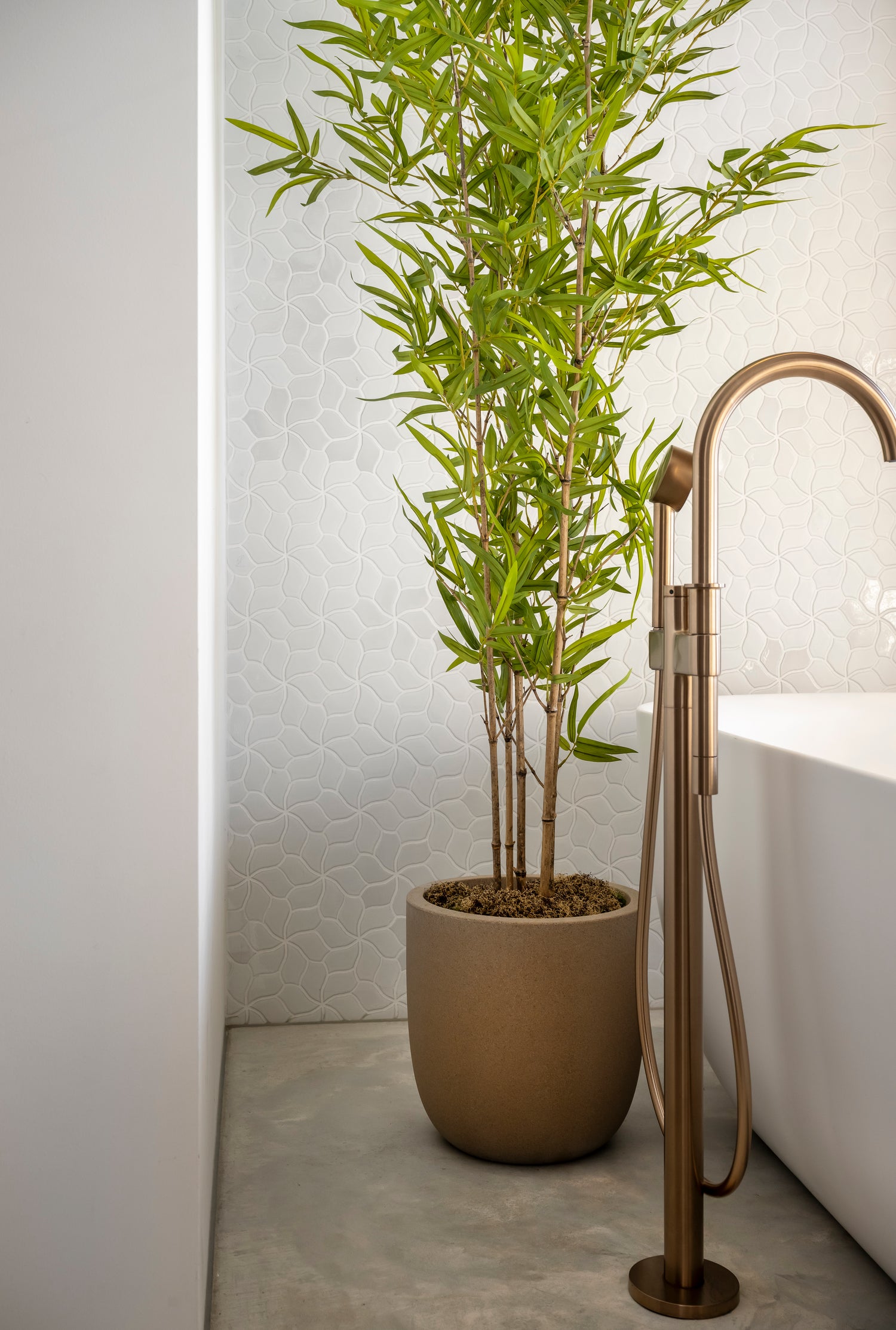 Bamboeplant met echte bamboestokken 200