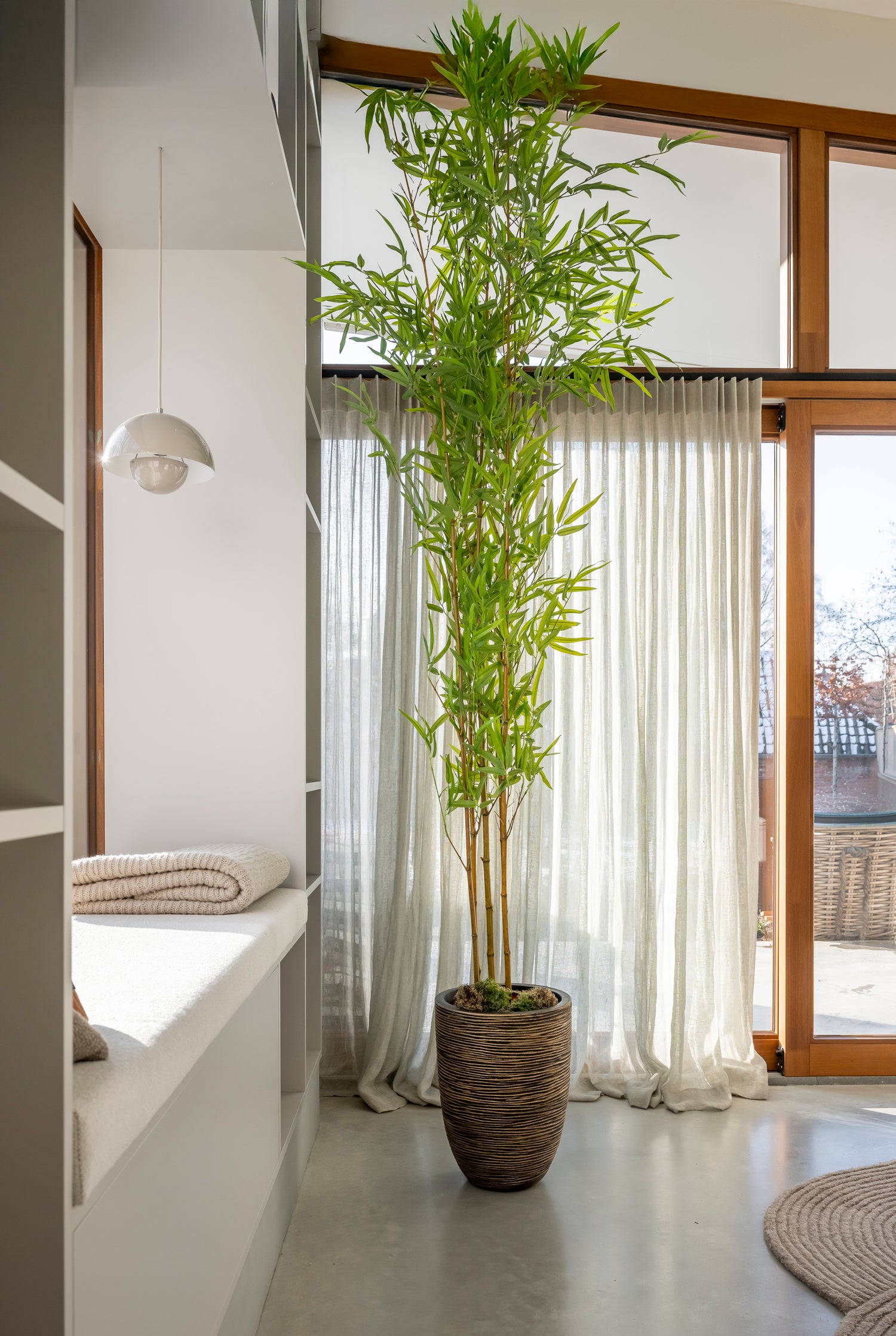 Bamboeplant met echte bamboestokken 250 –