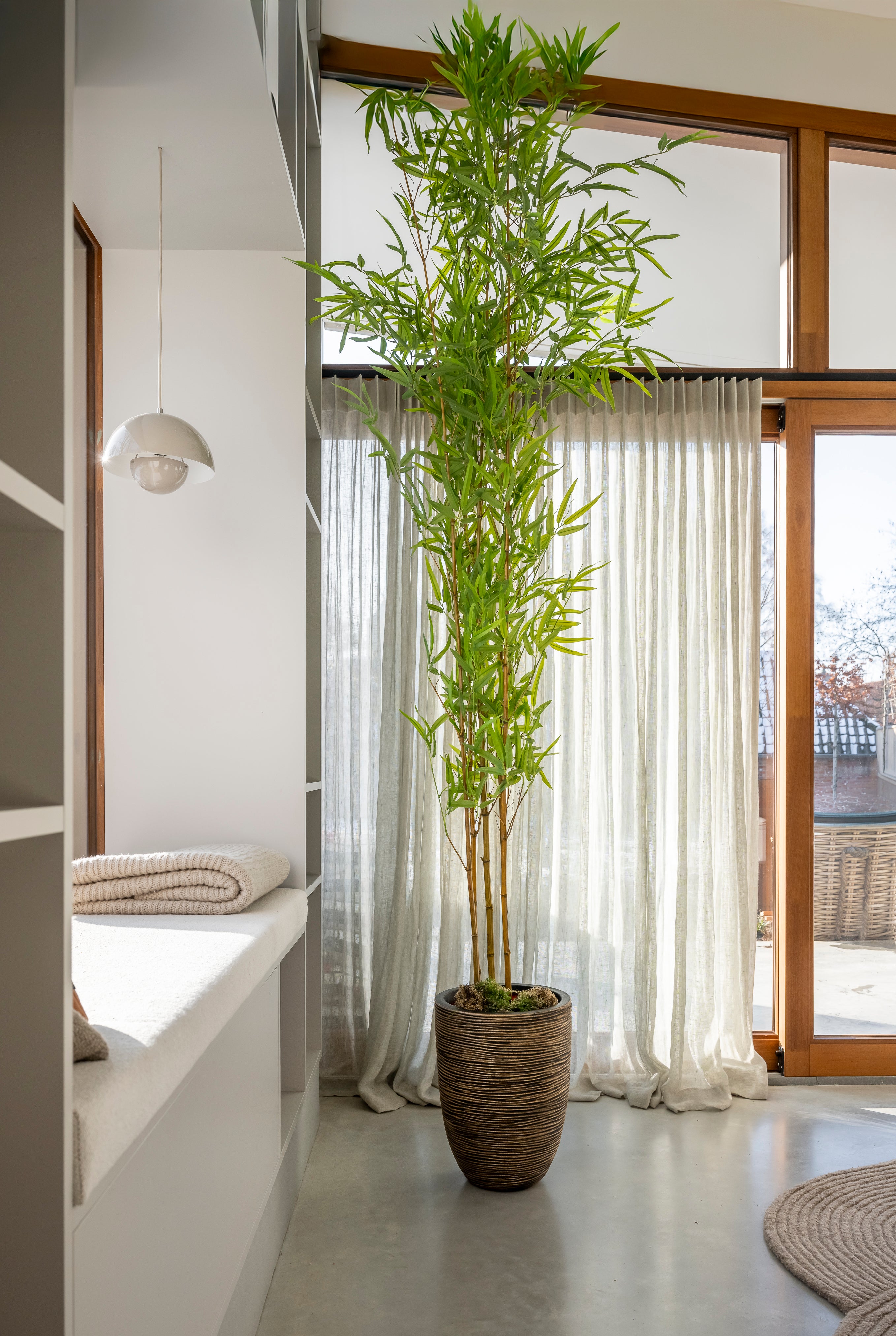 Bamboeplant met echte bamboestokken 250
