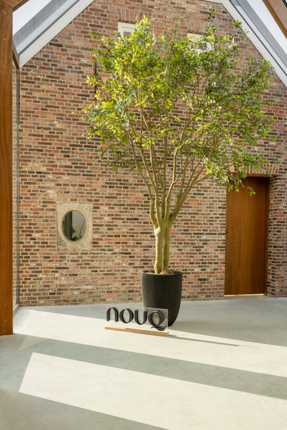 Kunstboom Rozenboom 330