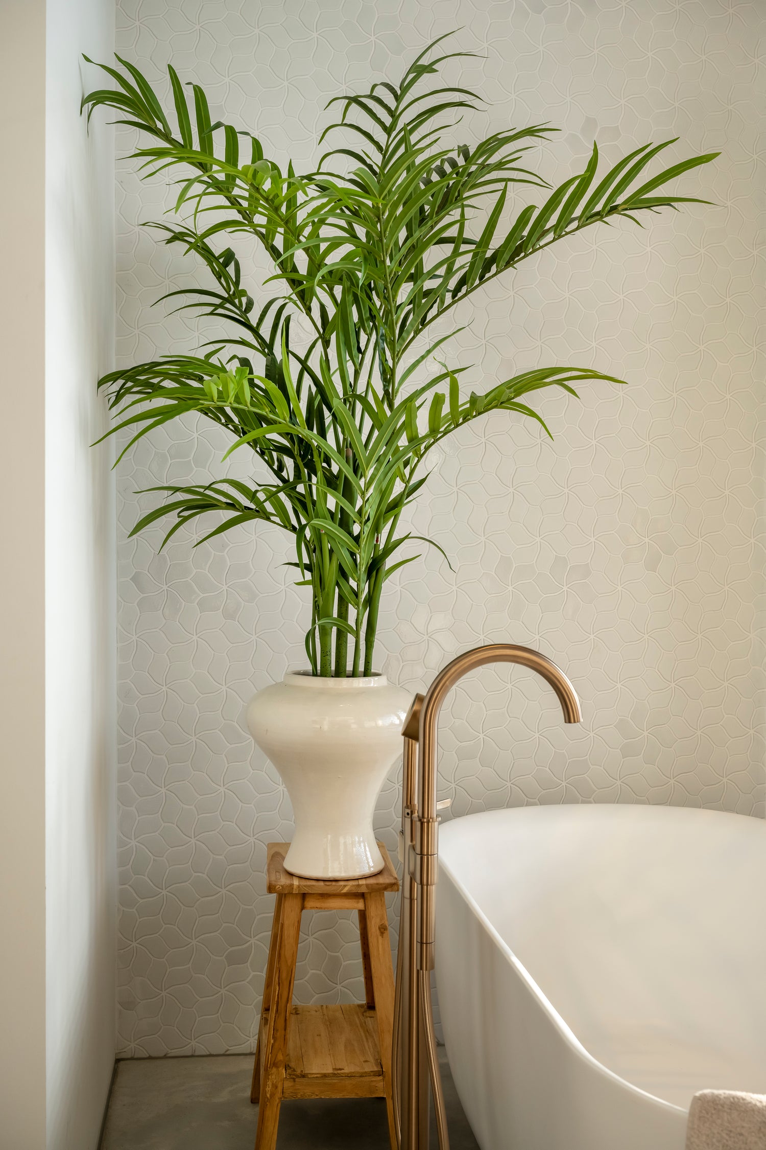 Palm 120