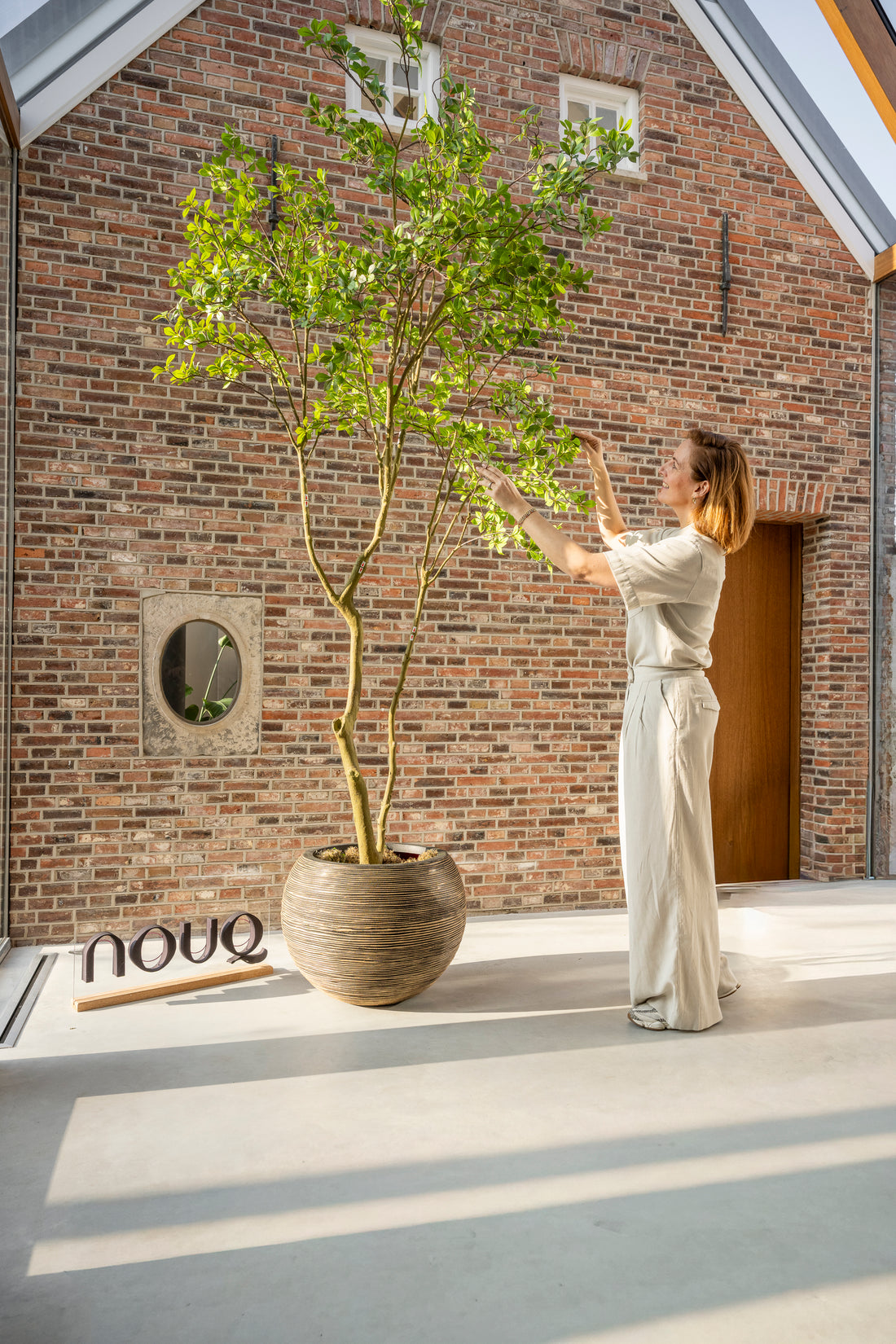 Kunstboom Gardenia 285 cm