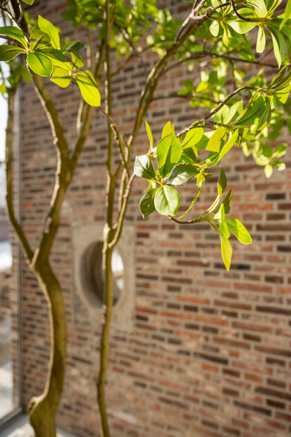 Kunstboom Gardenia 285 cm