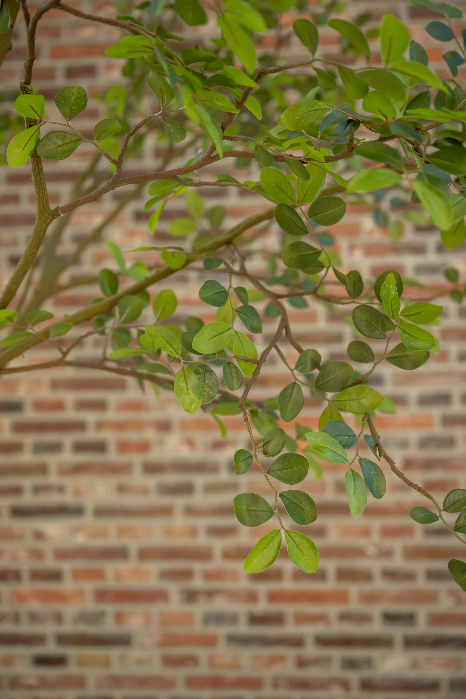Kunstboom Gardenia 285 cm